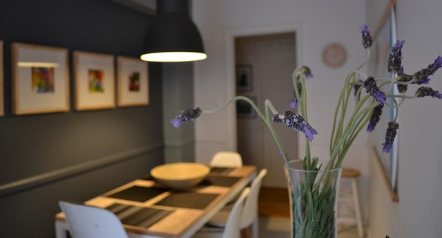 cropped-lavender-785968_640-2.jpg